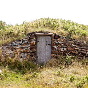 I Wish I'd Known This Before Building A Root Cellar