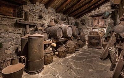 I Wish I’d Known This Before Building A Root Cellar