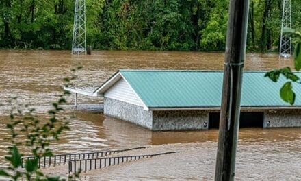 The First 7 Days After Hurricane Helene Hit My Homestead