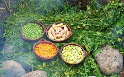 6 Foods You Should Bury in Your Backyard