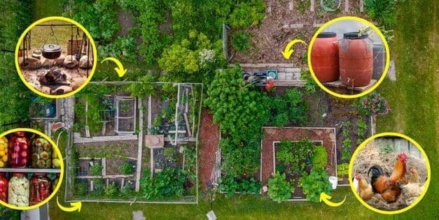Homesteading Skills You Need Before The Next Crisis