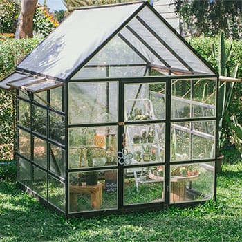 Greenhouse vs Hoophouse