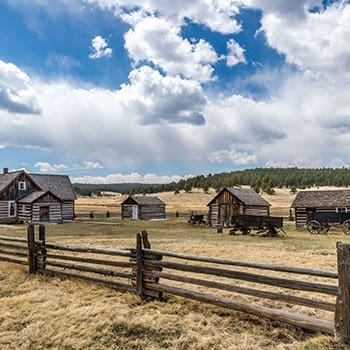 Homestead vs Farm