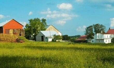Homestead vs. Farm