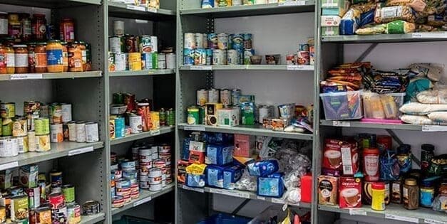 How To Protect Your Food Storage From Insects