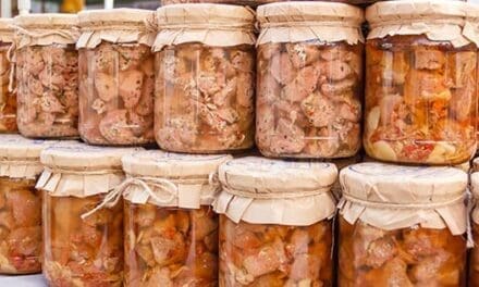 I Ate Only Canned Meat for 6 Months and This Happened