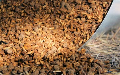 Never Feed This To Your Livestock