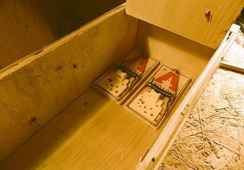 DIY Harmless Rat Trap - step 13
