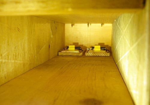 DIY Harmless Rat Trap - step 14