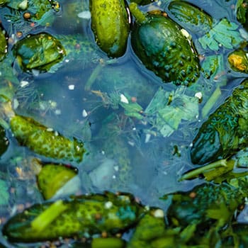 How People Used To Store Food Before Refrigerators - pickles in seawater brine