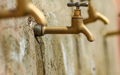 How To Survive In A World Without Water