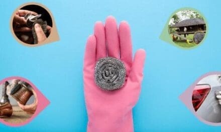 Ingenious Uses for Steel Wool