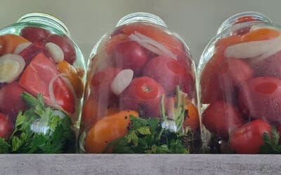 Fermentation 101