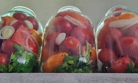 Fermentation 101