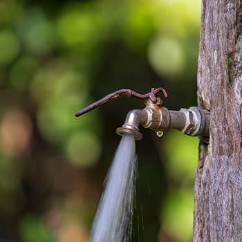 one of the skills to outlive a crisis is to scout for hidden water sources