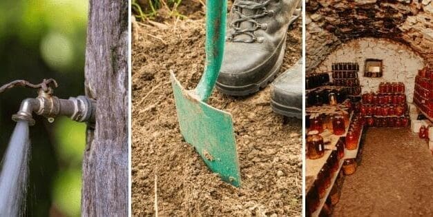 9 Skills Every Homesteader Must Have To Outlive A Crisis