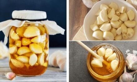 DIY Fermented Garlic In Honey