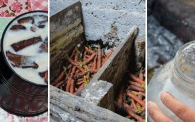 How People Stored Food In the 1800s