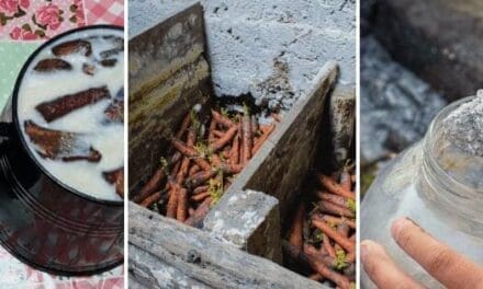 How People Stored Food In the 1800s