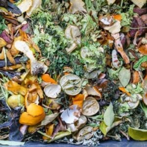 Fruit scraps