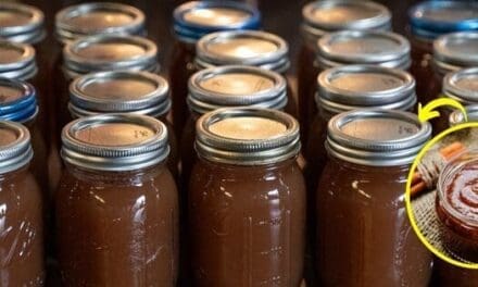 Homemade Amish Apple Butter Recipe With 12+ Months Shelf Life