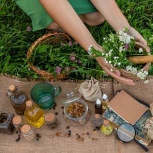 anti pesticide and medicinal herbs
