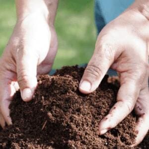 compost 