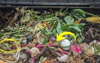 How Do You Speed Up Composting