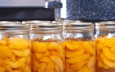How to Can Peaches
