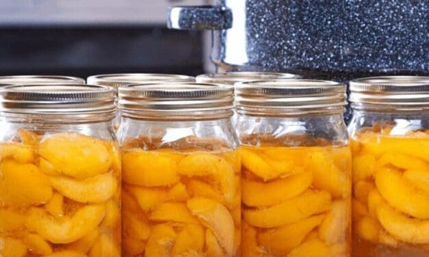 How to Can Peaches