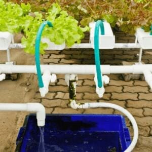 aeroponics tank