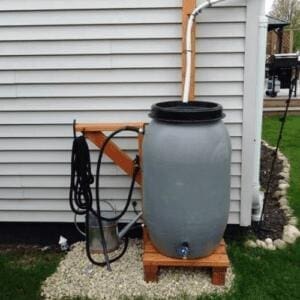 rainwater collection barrel