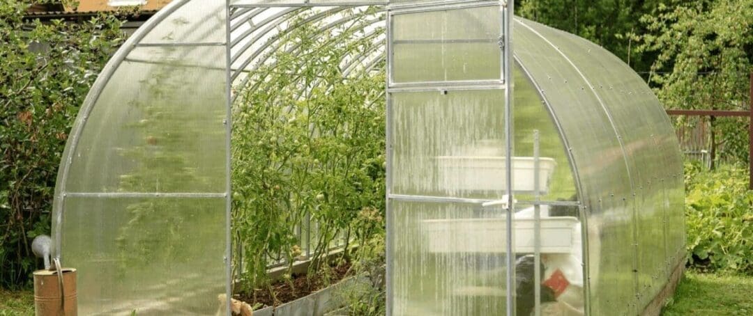 Greenhouse Mistakes I Learned from Building My Own
