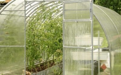 Greenhouse Mistakes I Learned from Building My Own
