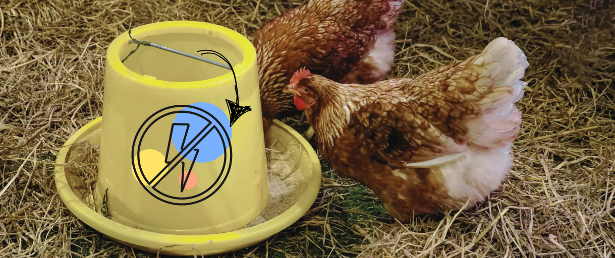 Automatic Chicken Feeder That Needs No Electricity: How Do You Make It?