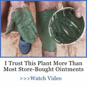 i trust this plant more than most store-bought ointments