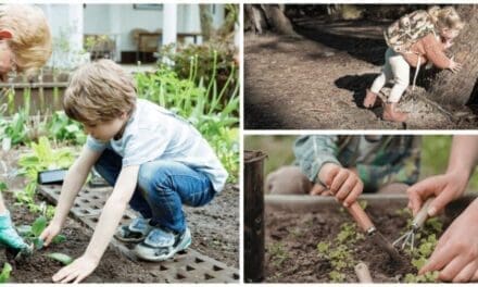 Ways to Teach Your Kids Homesteading Skills That Will Last a Lifetime