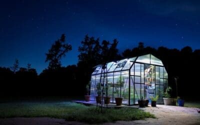 What Is a Freestanding Greenhouse? Everything You Need to Know