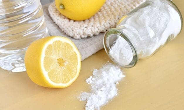 Deterring Unwanted Pests with Lemon and Baking Soda