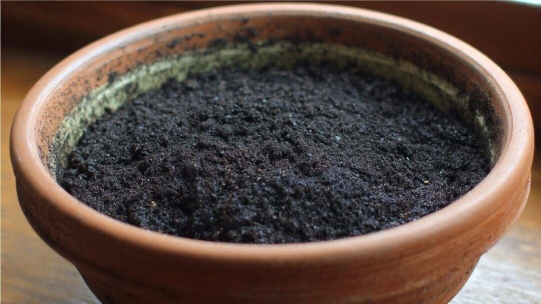Does Potting Soil Go Bad? The “Simple” Answer!