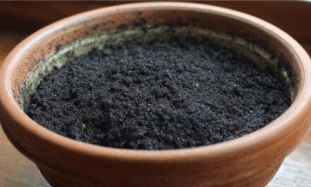 Does Potting Soil Go Bad? The “Simple” Answer!