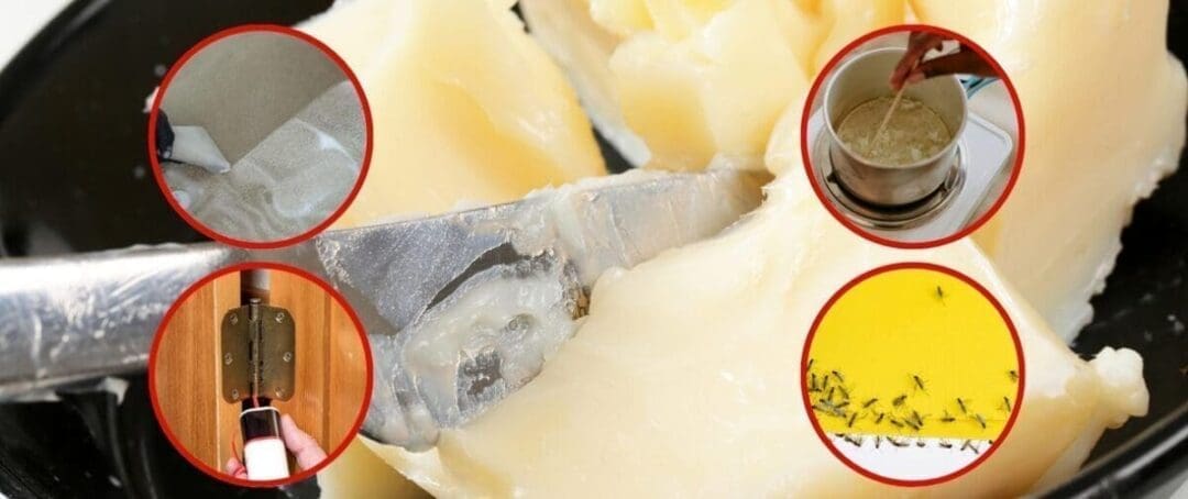 Ingenious Uses of Tallow You Never Thought Of (Except Eating!)