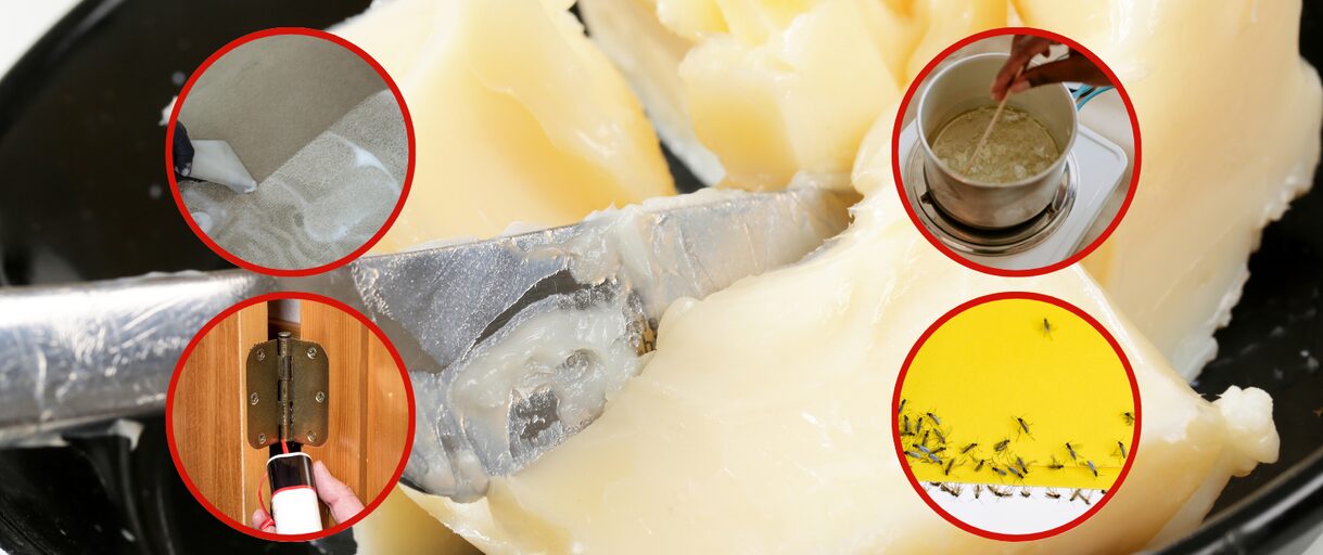 Ingenious Uses of Tallow You Never Thought Of (Except Eating!)