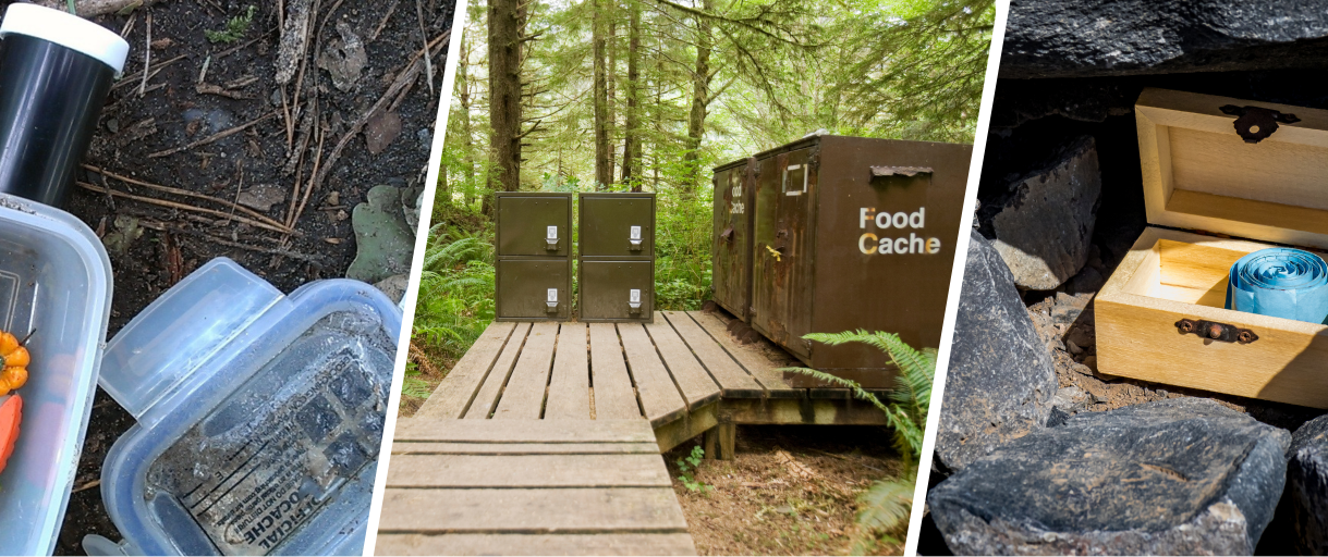 You Never Thought You Can Hide These In Plain Sight