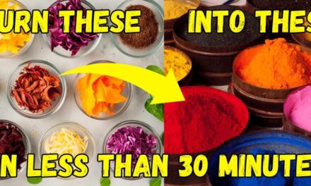 DIY Non-Toxic Dyes