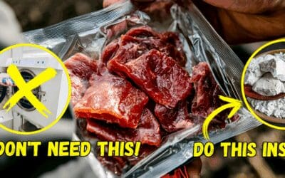 Ingenious Ways to Freeze-Dry Your Food at Home for 10+ Years Shelf Life