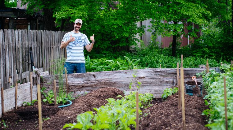 no-till gardening advantages