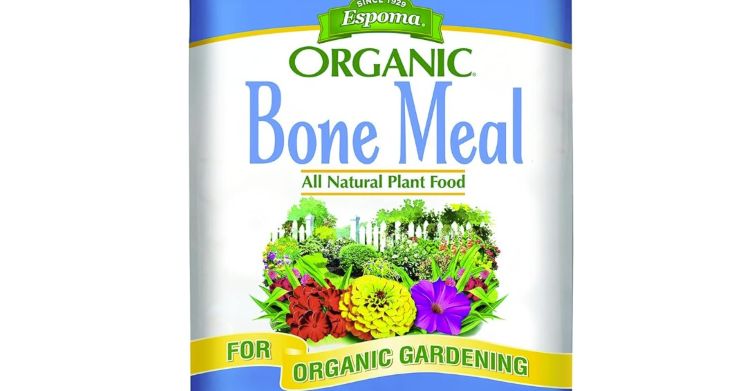 organic bone meal