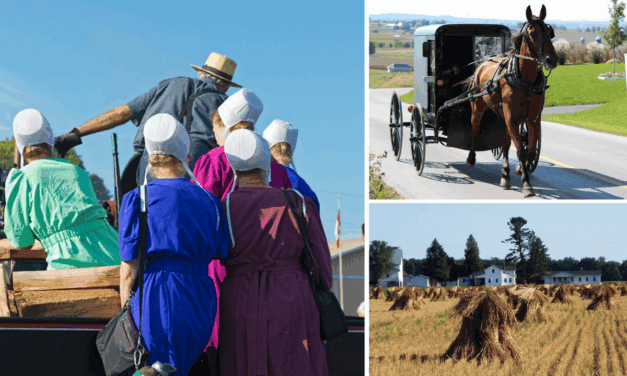 12 Amish Farming Secrets Every Homesteader Should Know