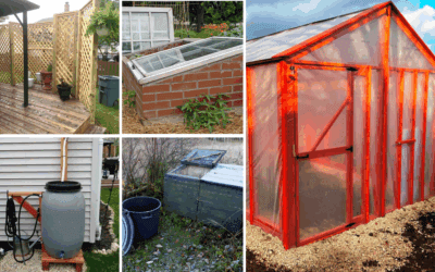 8 Backyard Projects You Can Make on a Budget